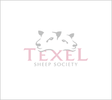 texel-show-blank_118 v58.png